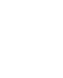 distribuidoraparaizaman.com-icon-001